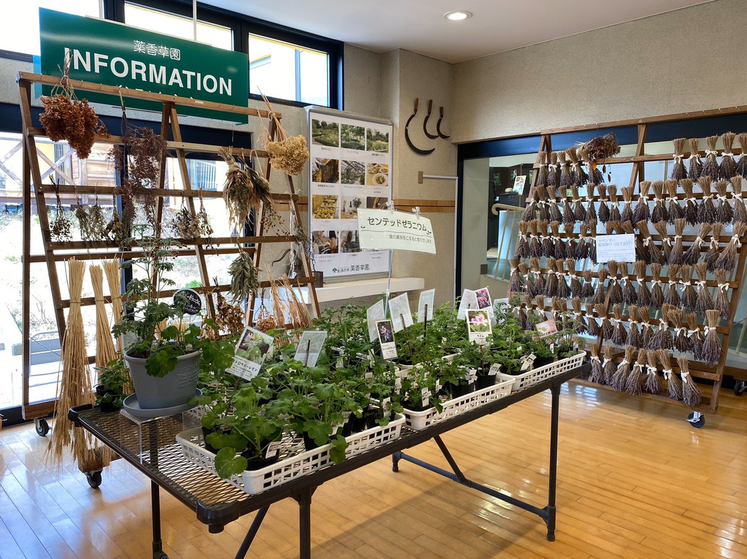 Medical Herb Garden Yakkosoen景点图片