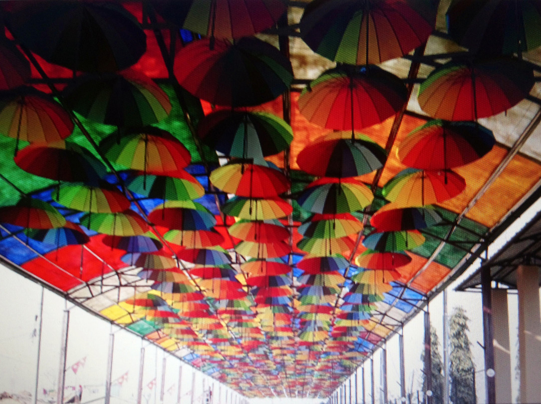 Umbrella Street-奇旺国家公国必去景点