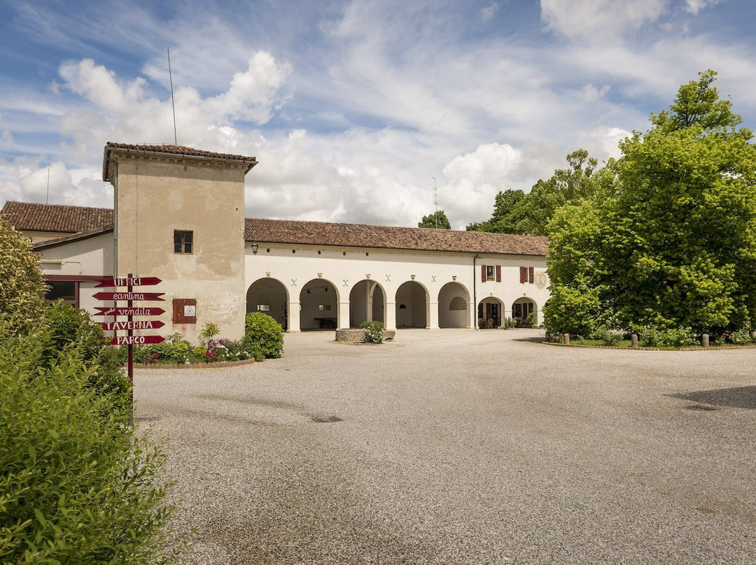 Azienda Agricola Rechsteiner景点图片