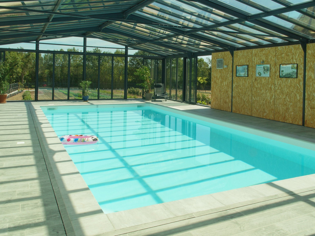 Best Saintonge主图