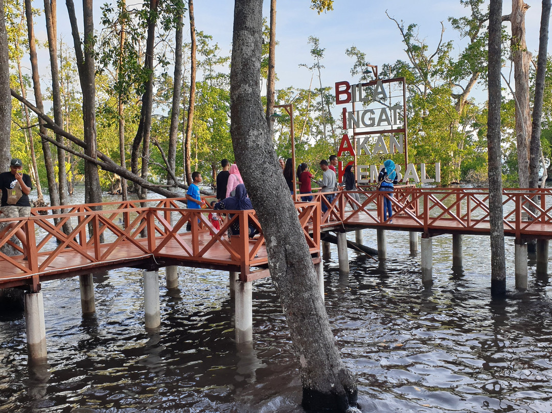 Ruar Mangrove Forest Park-Biak必去景点