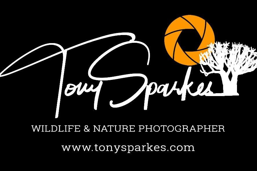 Tony Sparkes Wildlife and Photographic Safaris-霍德斯普鲁特必去景点