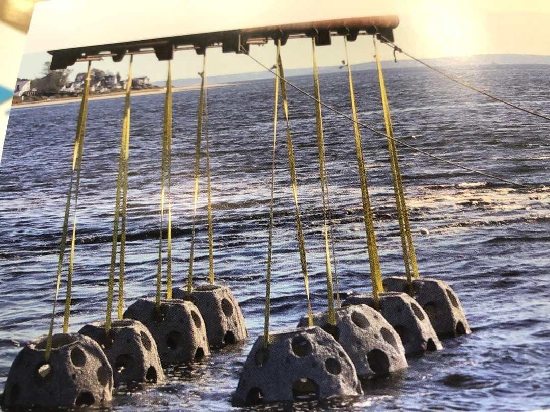 Sabin Point Park-Riverside必去景点