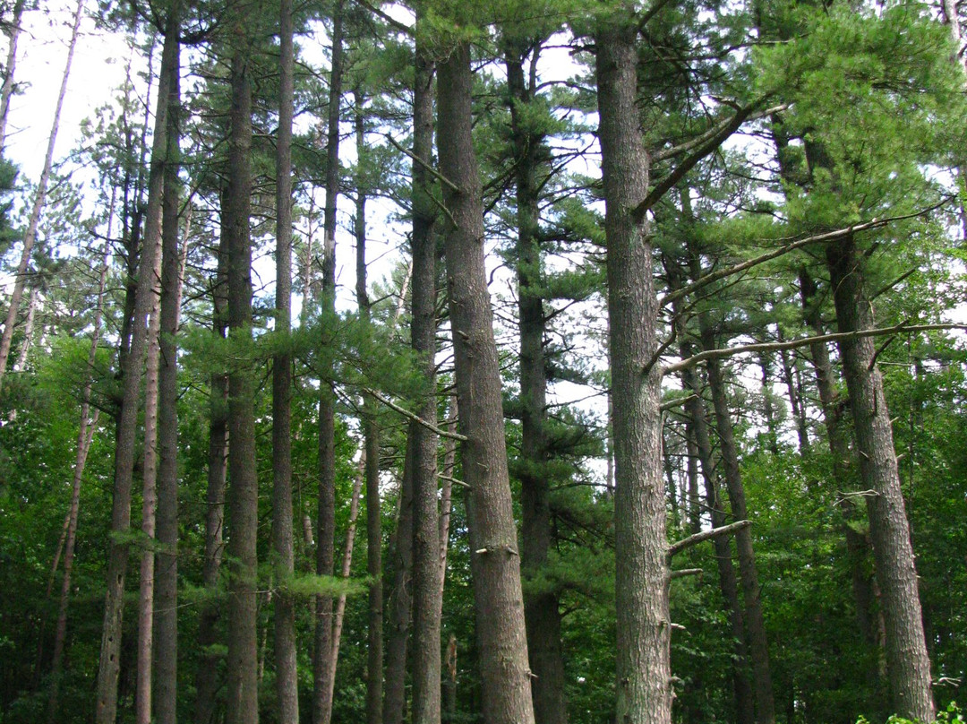 Council Grounds State Park-Merrill必去景点