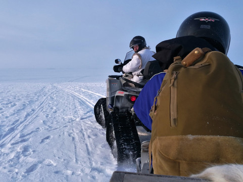 Oulu Safaris-奥卢必去景点