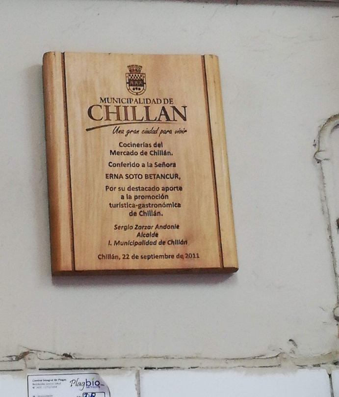 Mercado de Chillan-奇廉必去景点