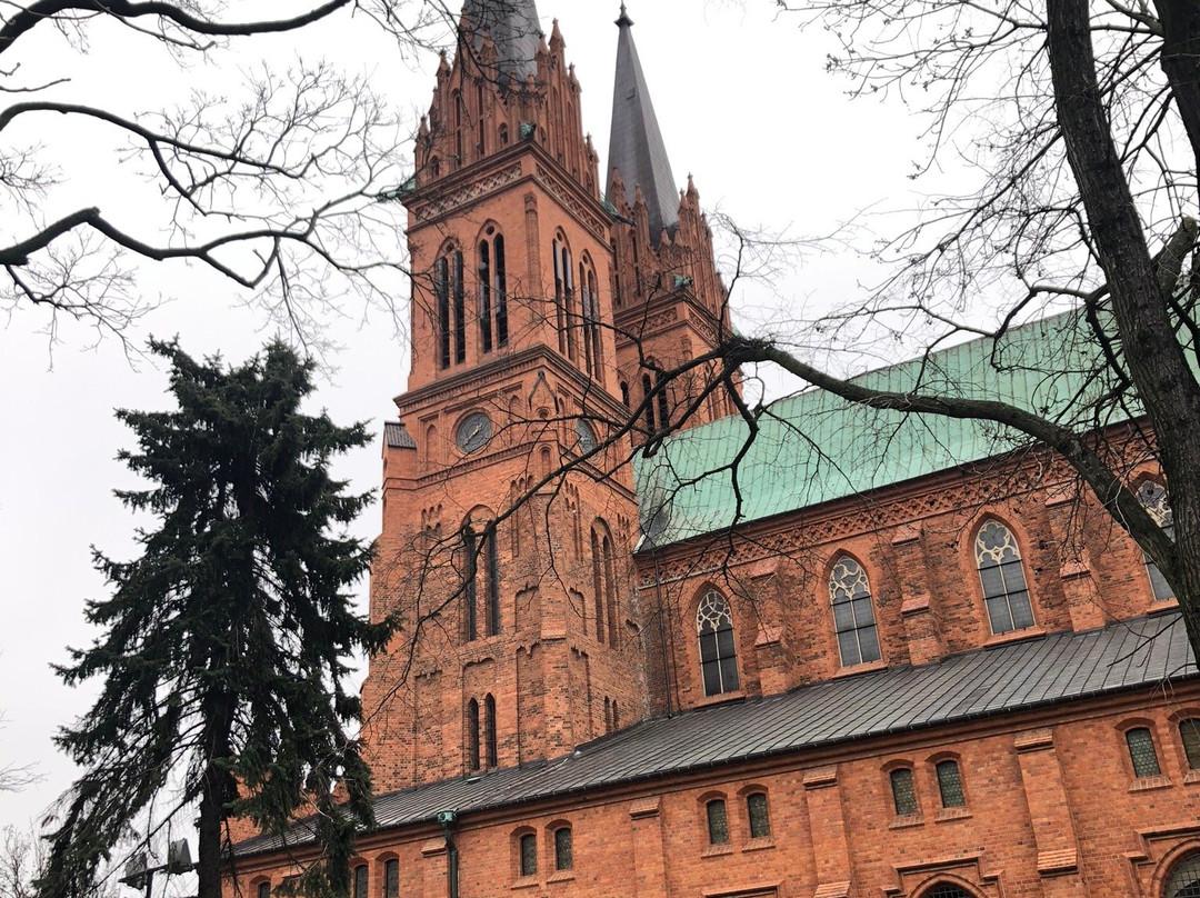 Basilica Cathedral of the St. Mary Assumption, Wloclawek, Poland景点图片