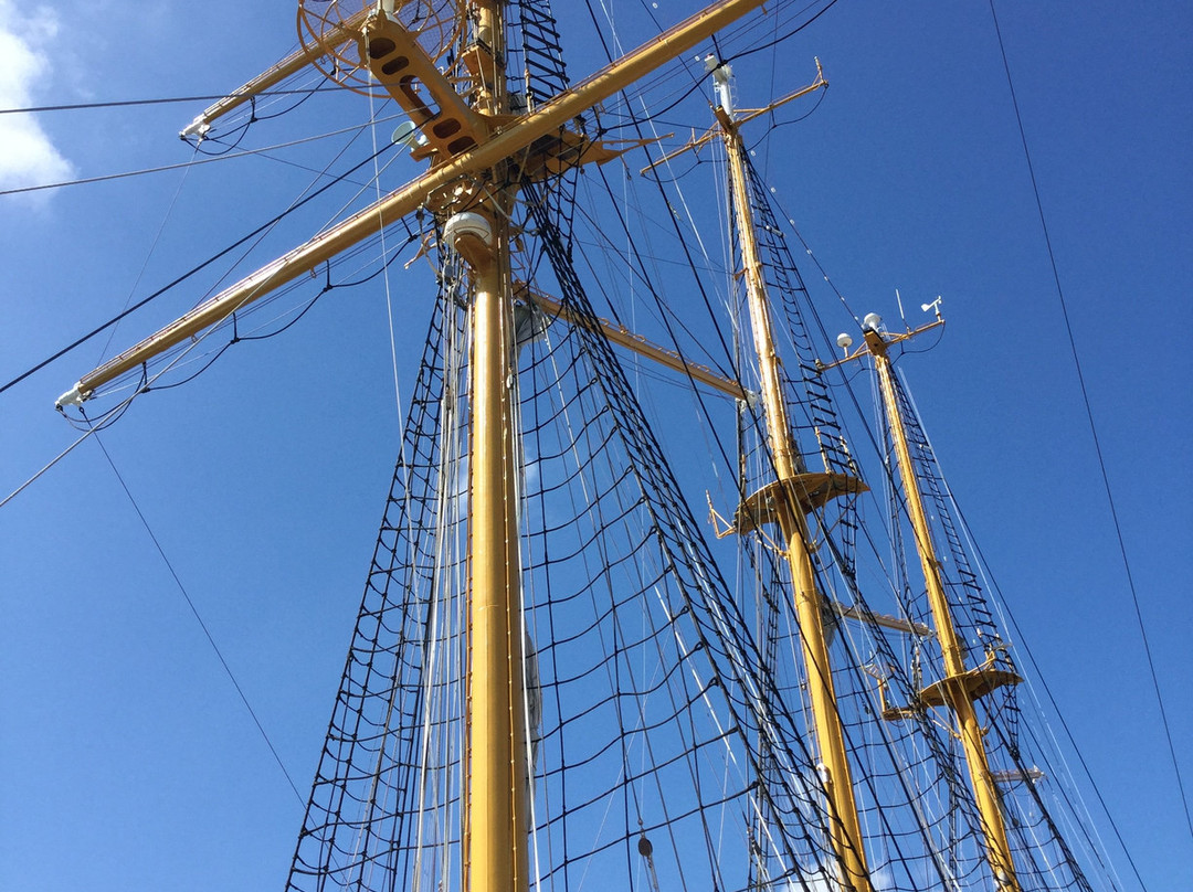 Misaki Port-三浦市必去景点