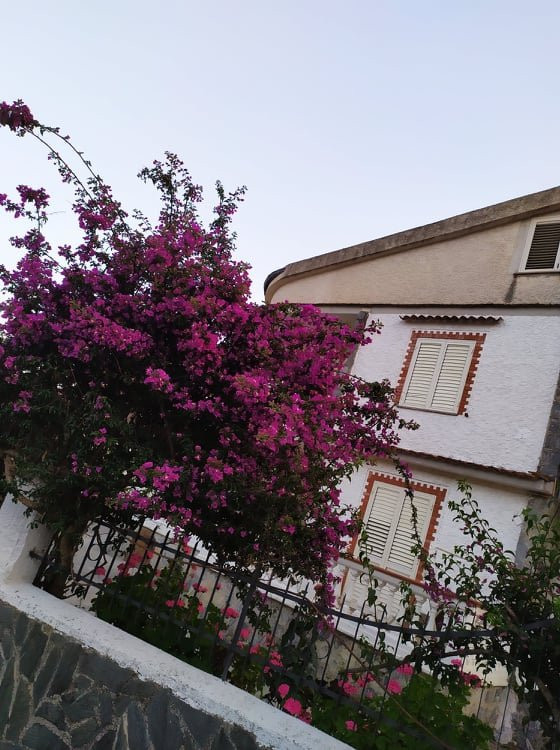 Elios Residence主图