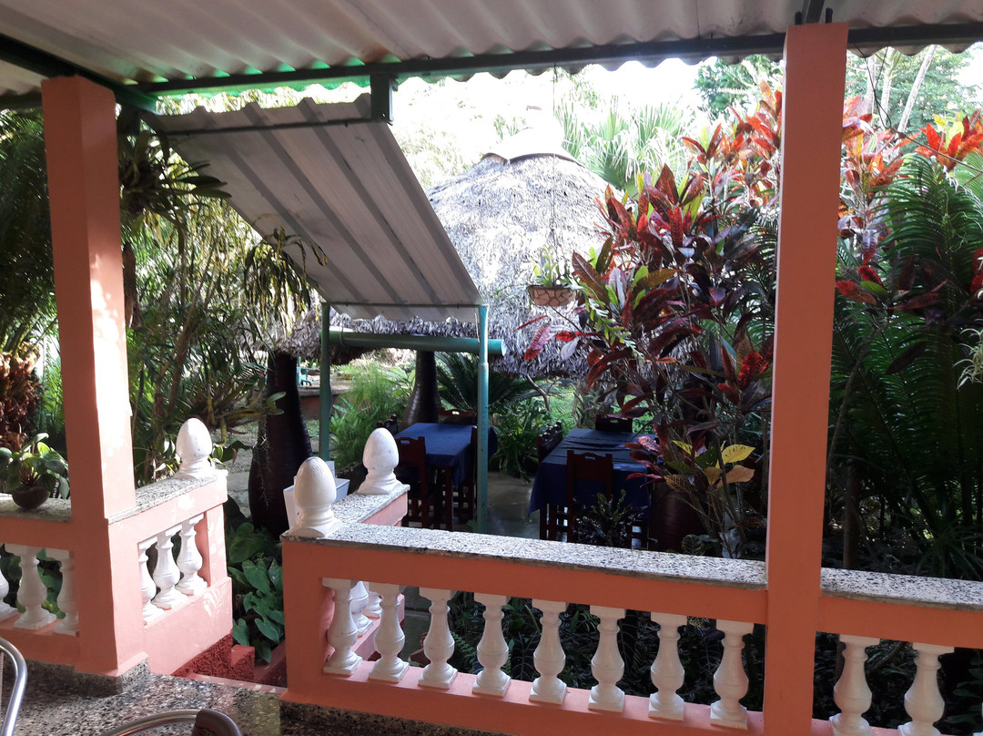 Casa Vivo in Soroa主图