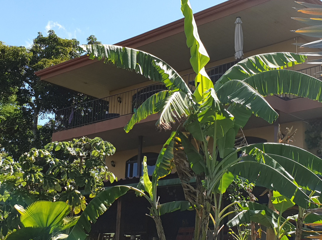 Vista Linda Montaña主图