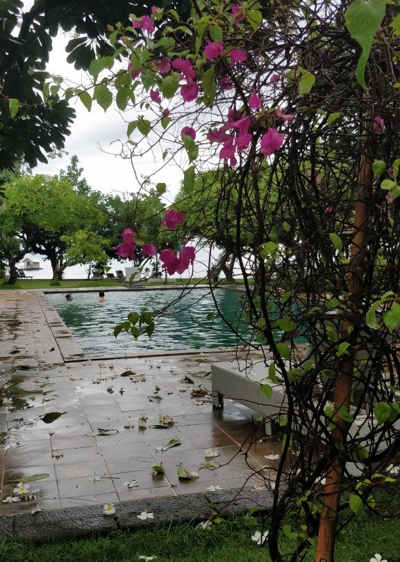 塔曼塞里尼海滩别墅主图