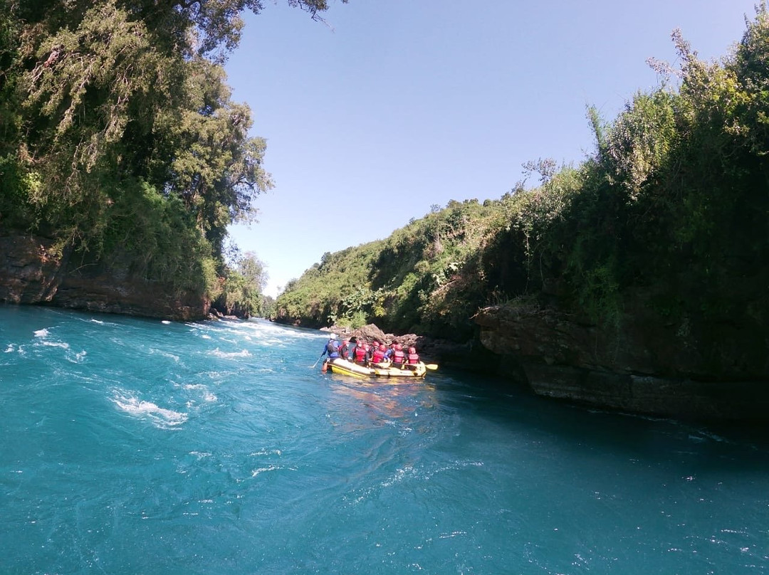Rio Bueno Expediciones-Lago Ranco必去景点