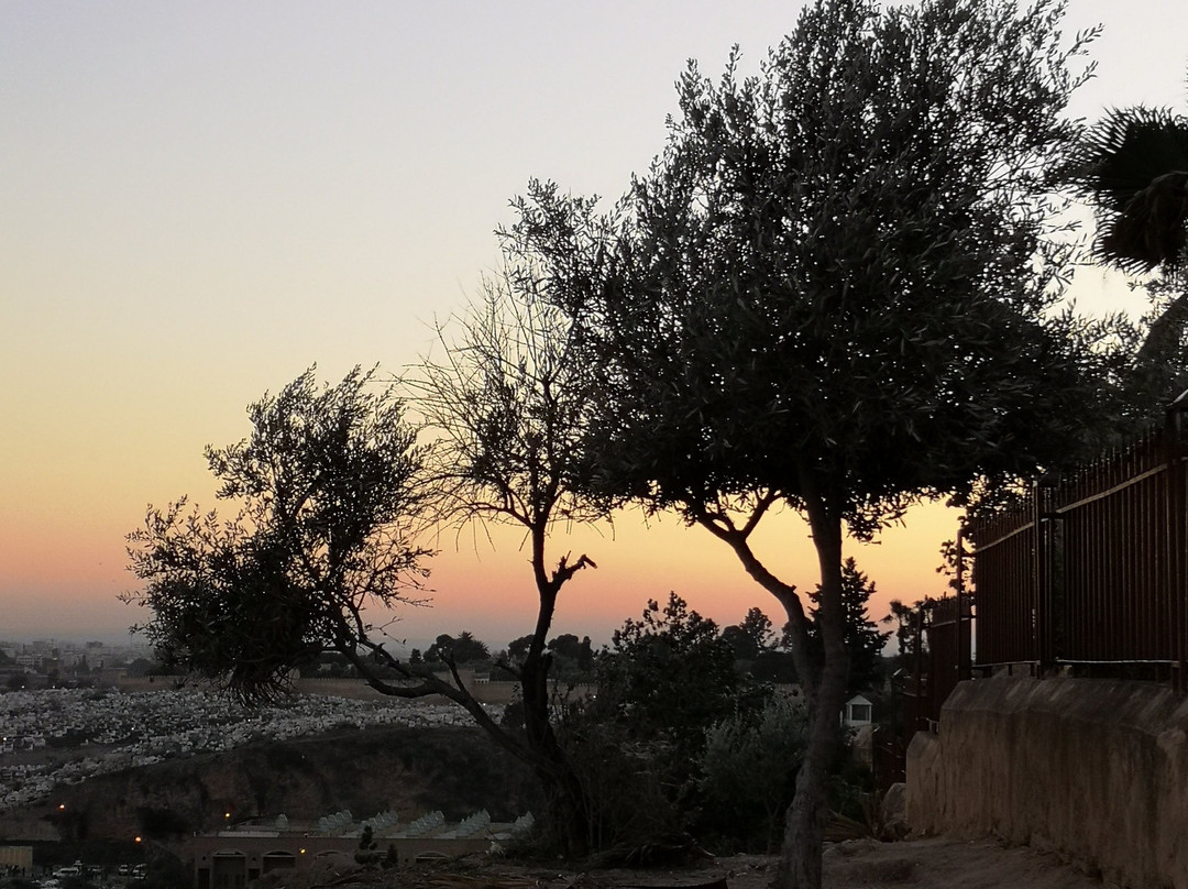 Morocco Sunshine Tours-非斯必去景点