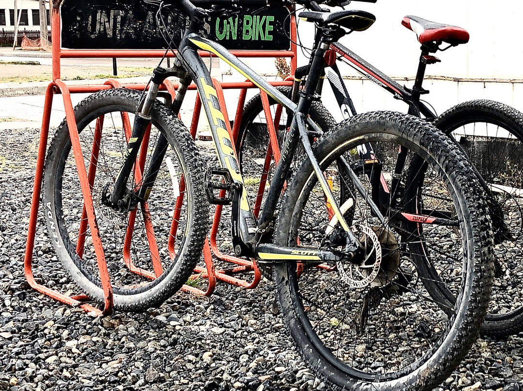 Dientes de Navarino-Puerto Williams必去景点