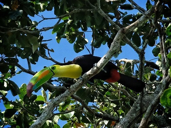 Ka'an Expeditions - Day Tours-卡拉克穆尔必去景点