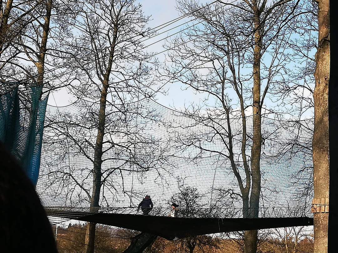 Treetop Nets景点图片