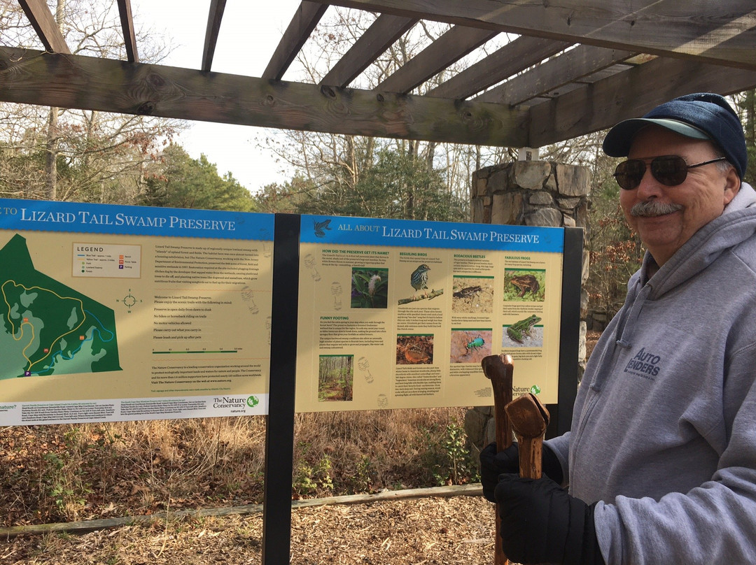 Lizard Tail Swamp Preserve景点图片