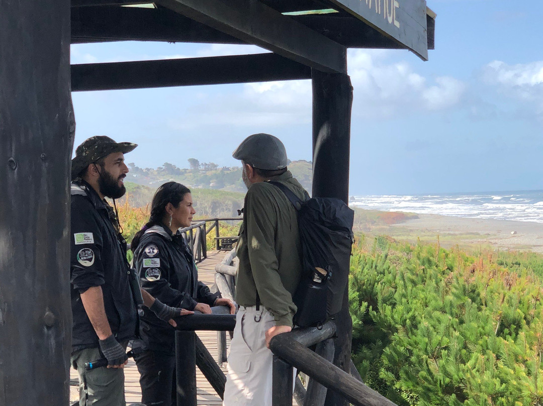 Uñum Kimün-Puerto Saavedra必去景点