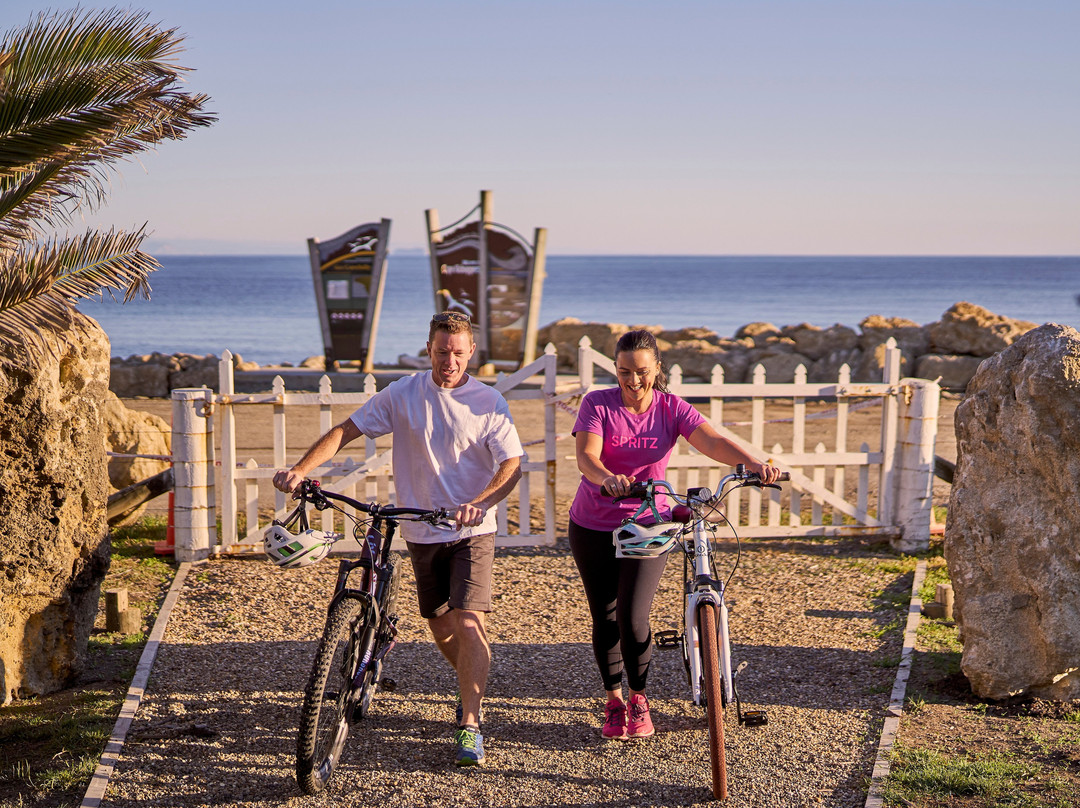 Hawke's Bay Trails景点图片