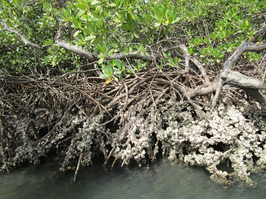 La Maison Sur la Plage主图