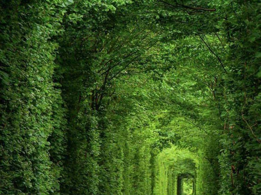 Moto Sport Park-Achrol必去景点