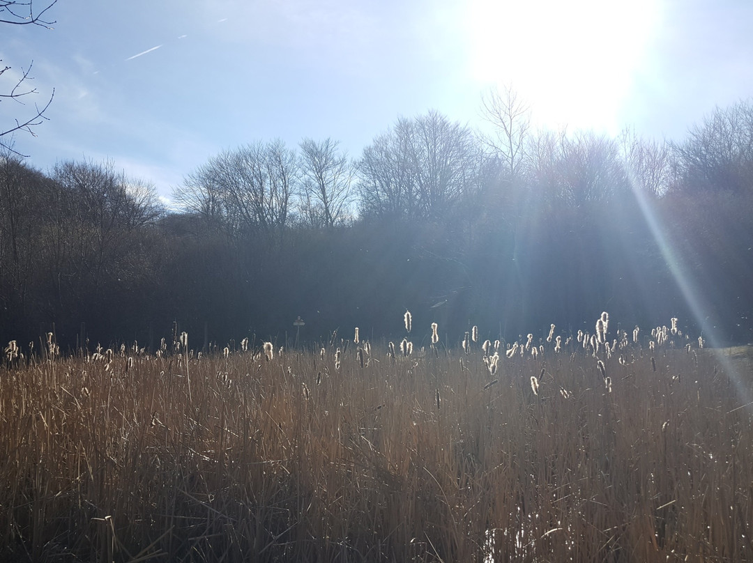 Ortanella旅游攻略图片