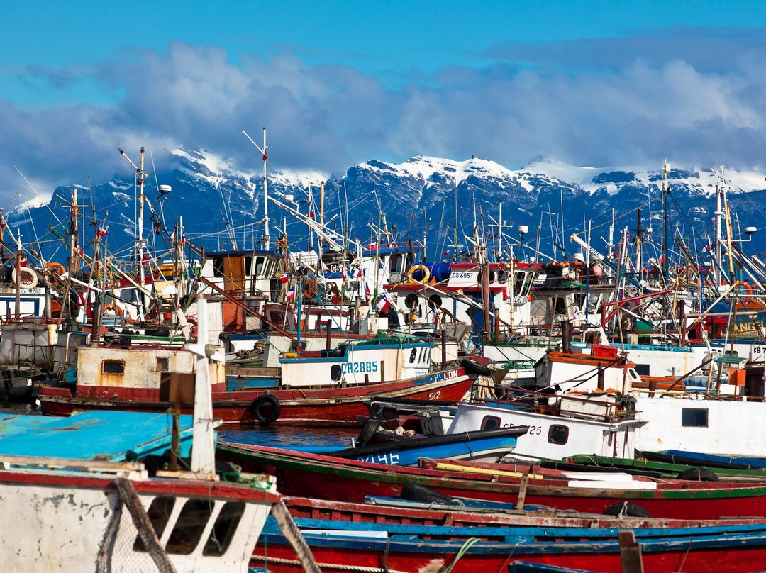 Say Hueque Travel-纳塔莱斯港必去景点