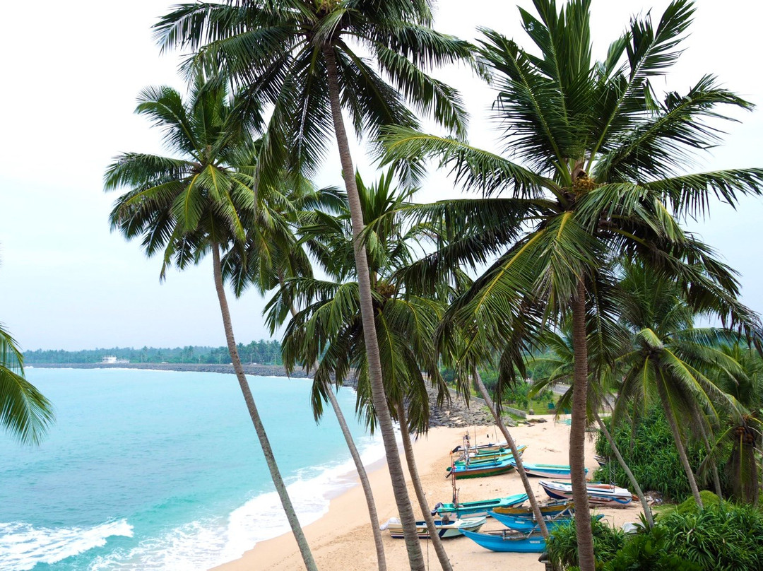 Cool Beach Hotel主图