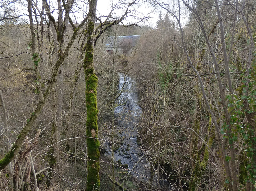 Cascade des Saliens景点图片