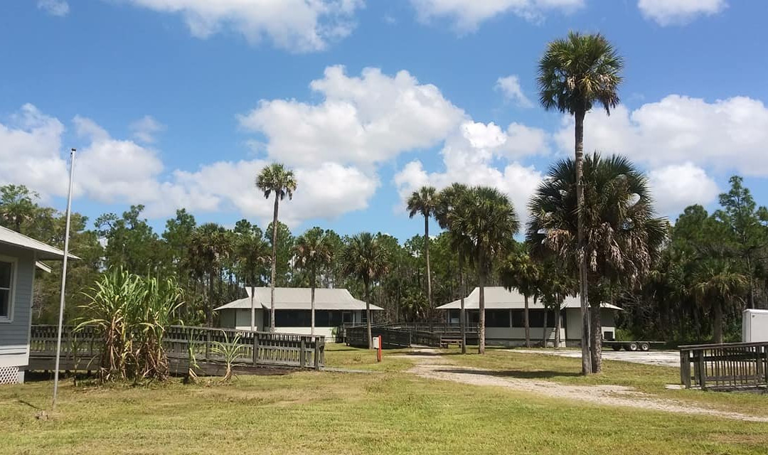 Big Cypress Institute