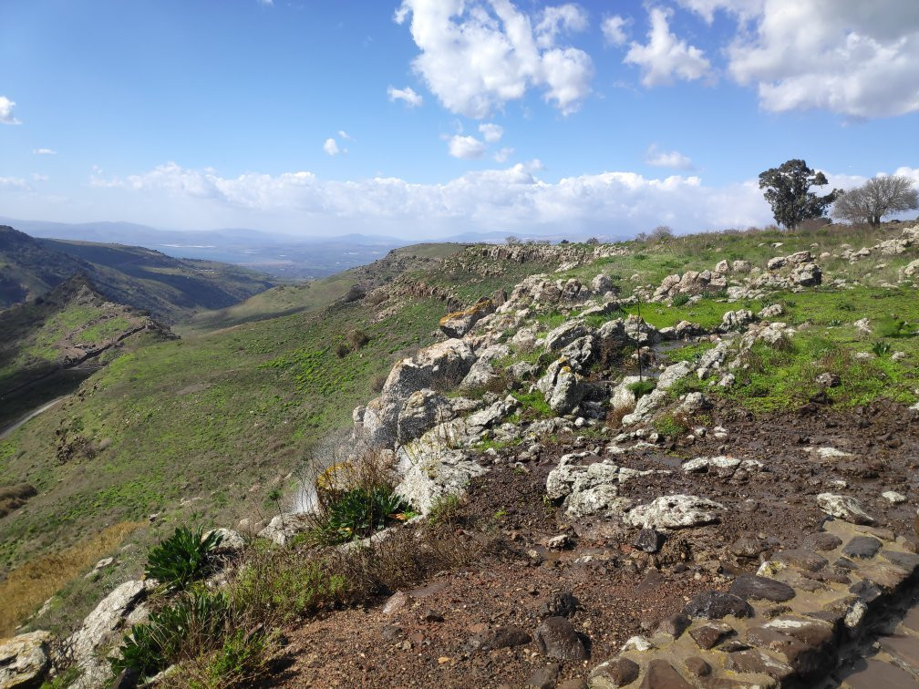 Gamla Nature Reserve-Katzrin必去景点