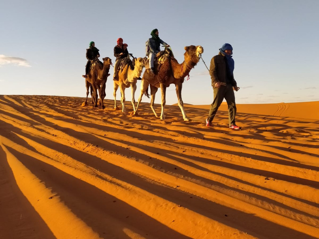 Merzouga Camel Trekking - Day Tours-梅如卡必去景点