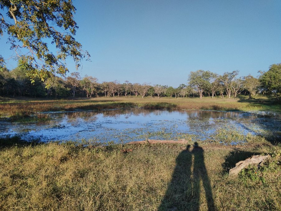 Sathyamangalam Tiger Reserve景点图片