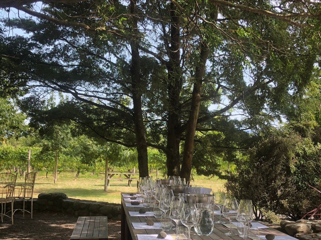 Ata Rangi Martinborough-马丁堡必去景点