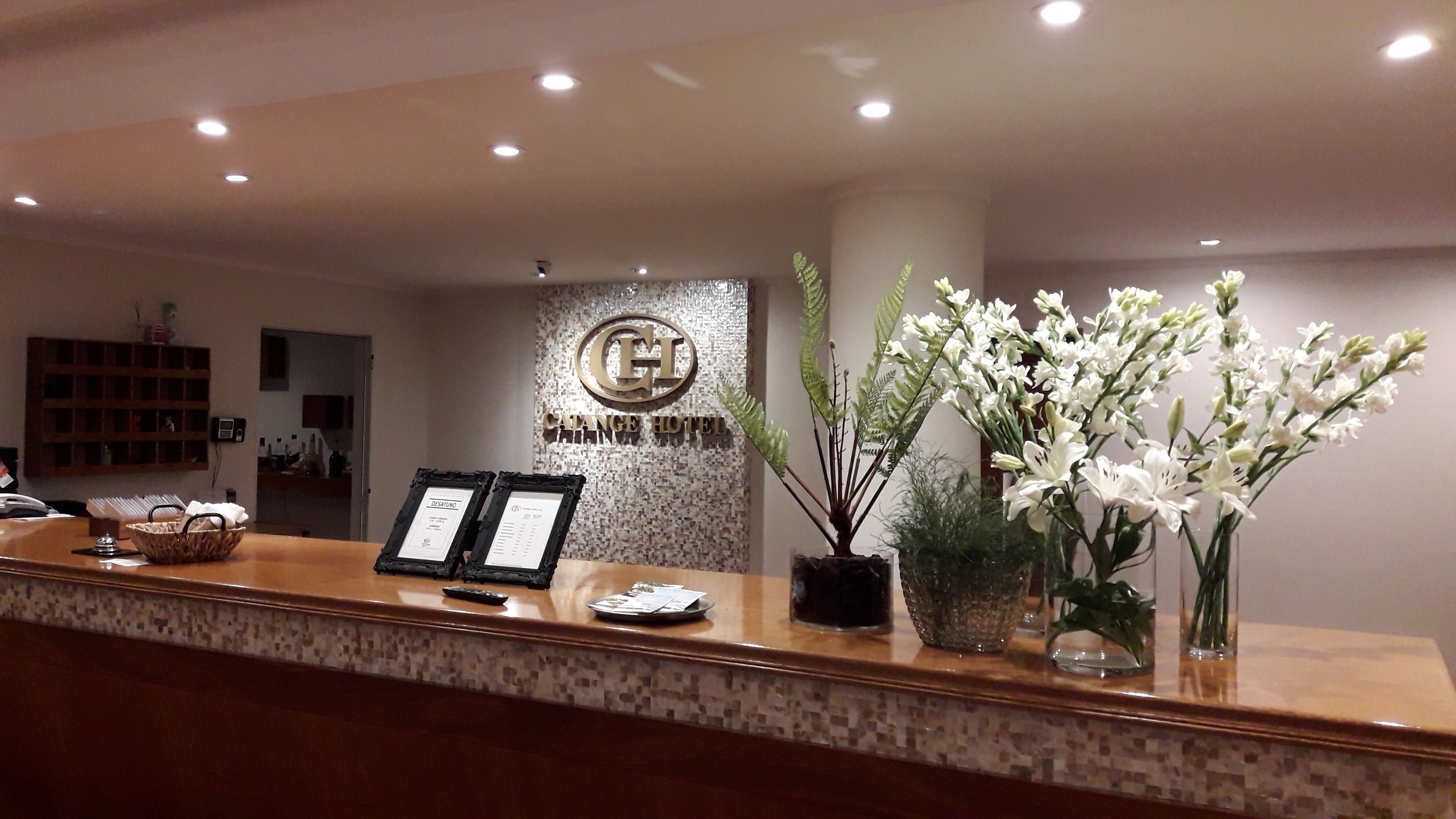 Catange Hotel-官方