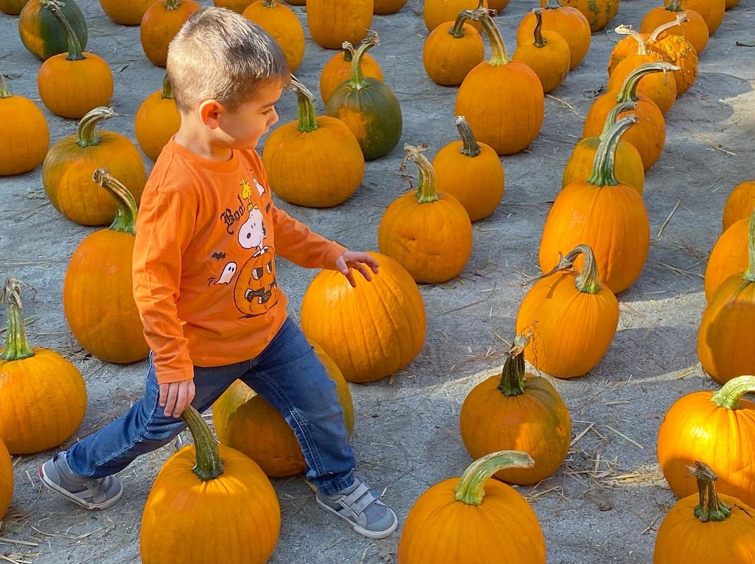 Lemos Farm-半月湾必去景点