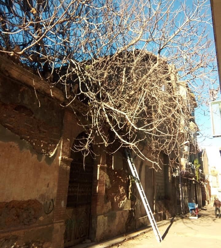 Ancienne Synagogue de Blida景点图片