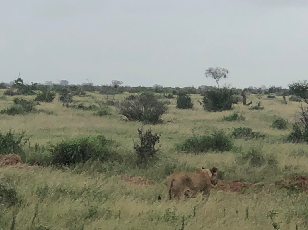 Kalu Safari Kenya-瓦塔木必去景点