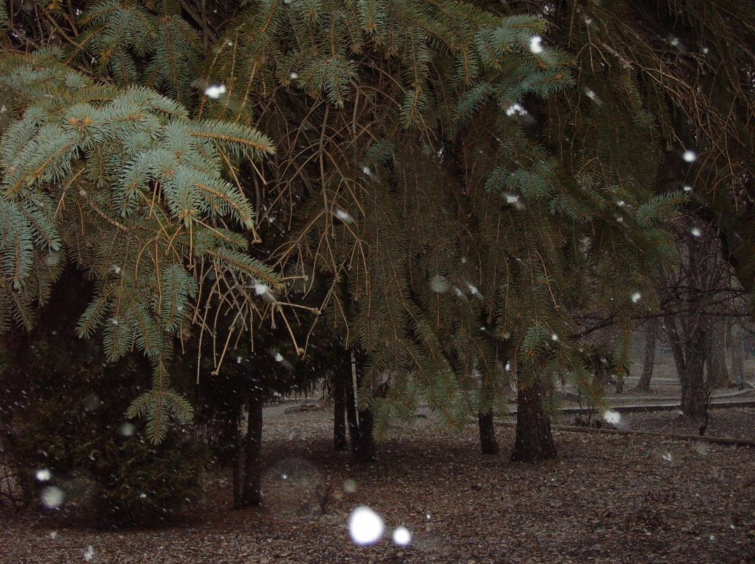 Lukomorie Park-萨拉托夫必去景点