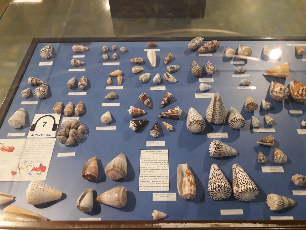 Museo Maritimo de Asturias景点图片