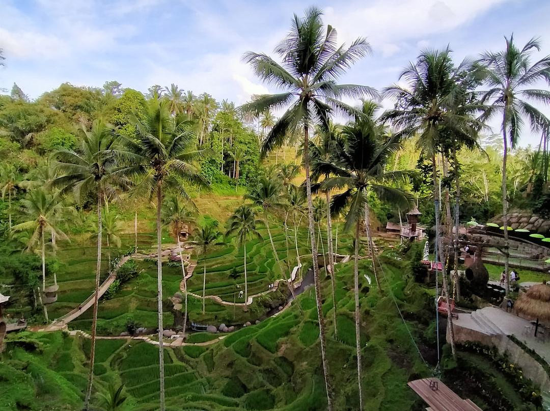 Alas Arum Village主图