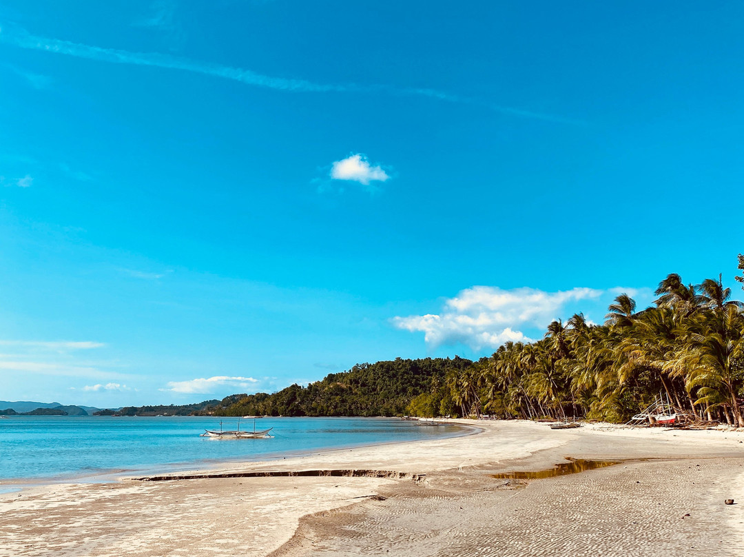 Foxy's Beach Resort主图