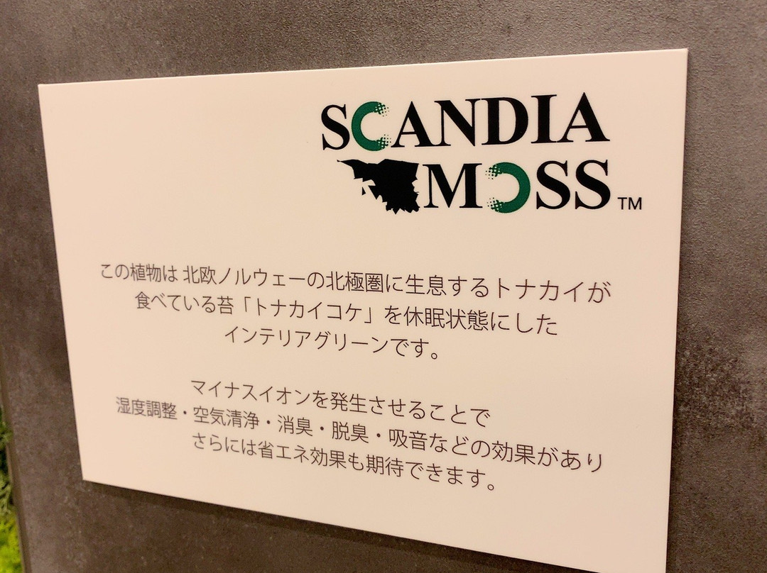 Super Hotel Saitama Kawagoe主图