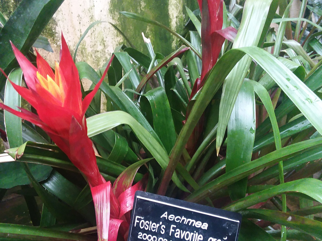 Vander Veer Botanical Park-达文波特必去景点