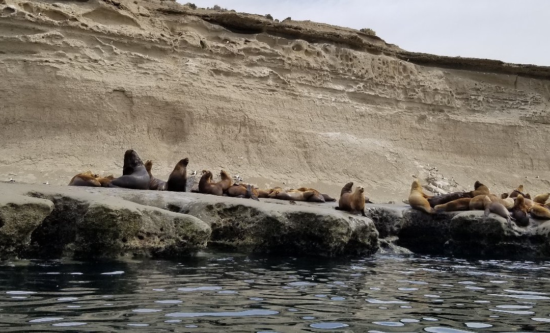 Patagonia Explorers Sea Kayak景点图片