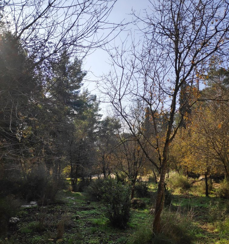 Nachal HaShofet - Shofet River景点图片