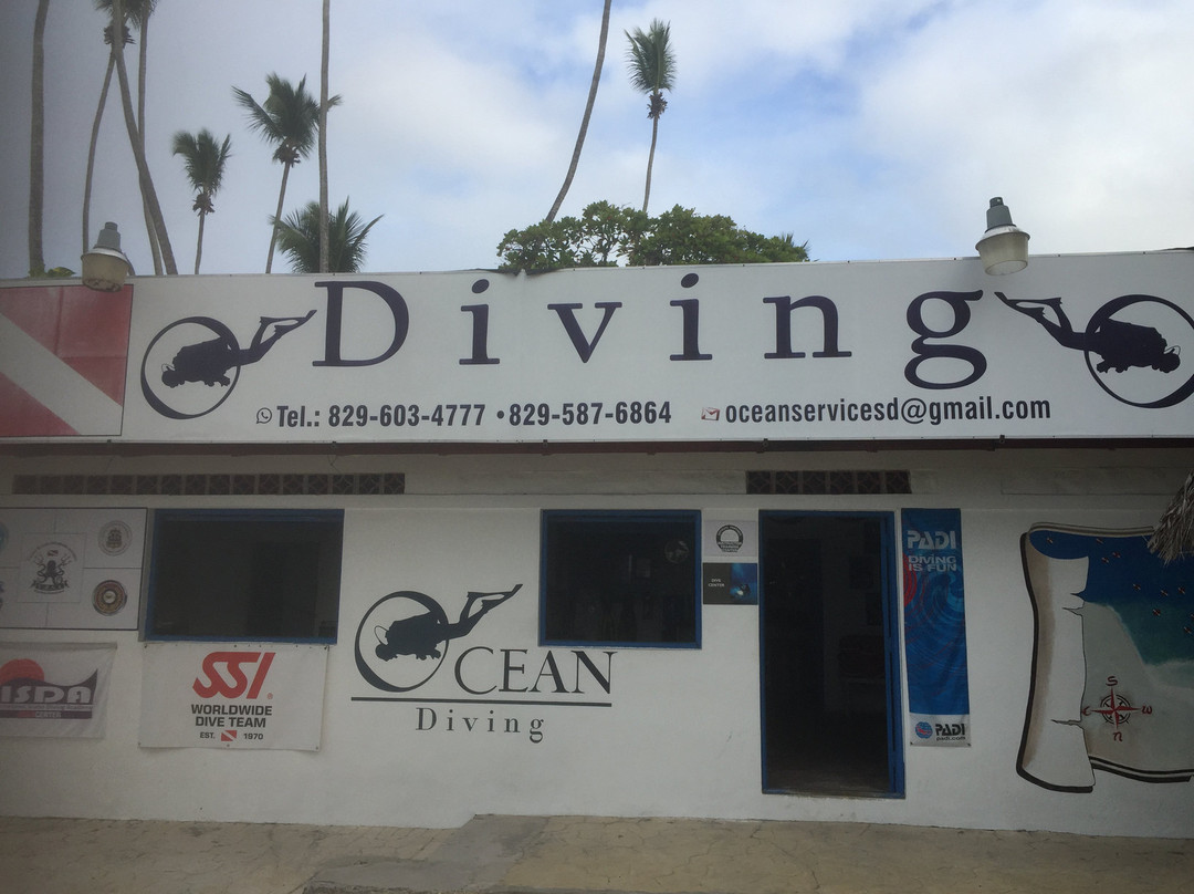 Ocean Diving景点图片