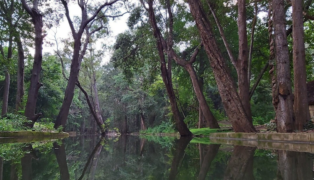 Talakona Waterfall景点图片
