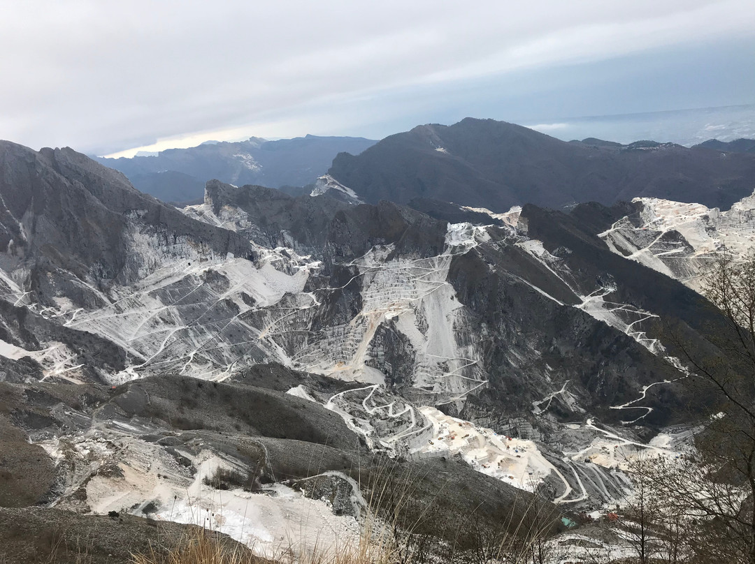 Carrara Bella B&B主图